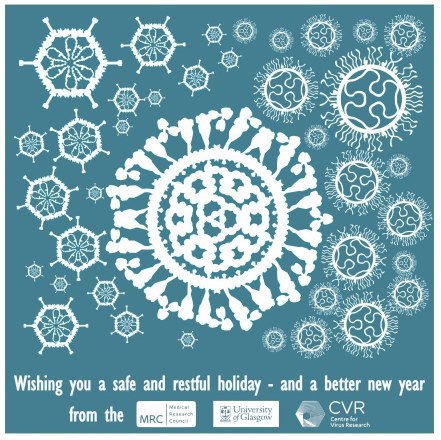Virus snowflakes graphic.png